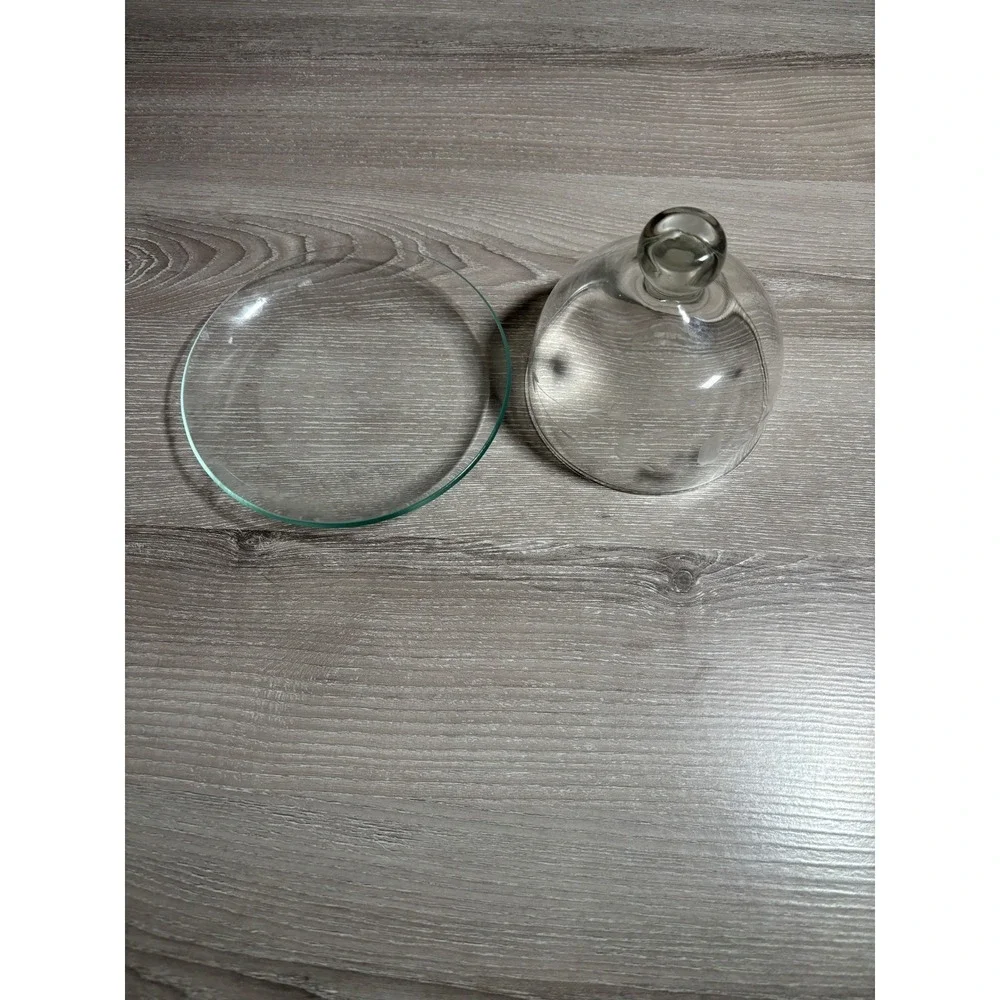 Vintage Etched Glass Butter Dish with Domed Cloche Lid Floral Clear 2 Piece Set